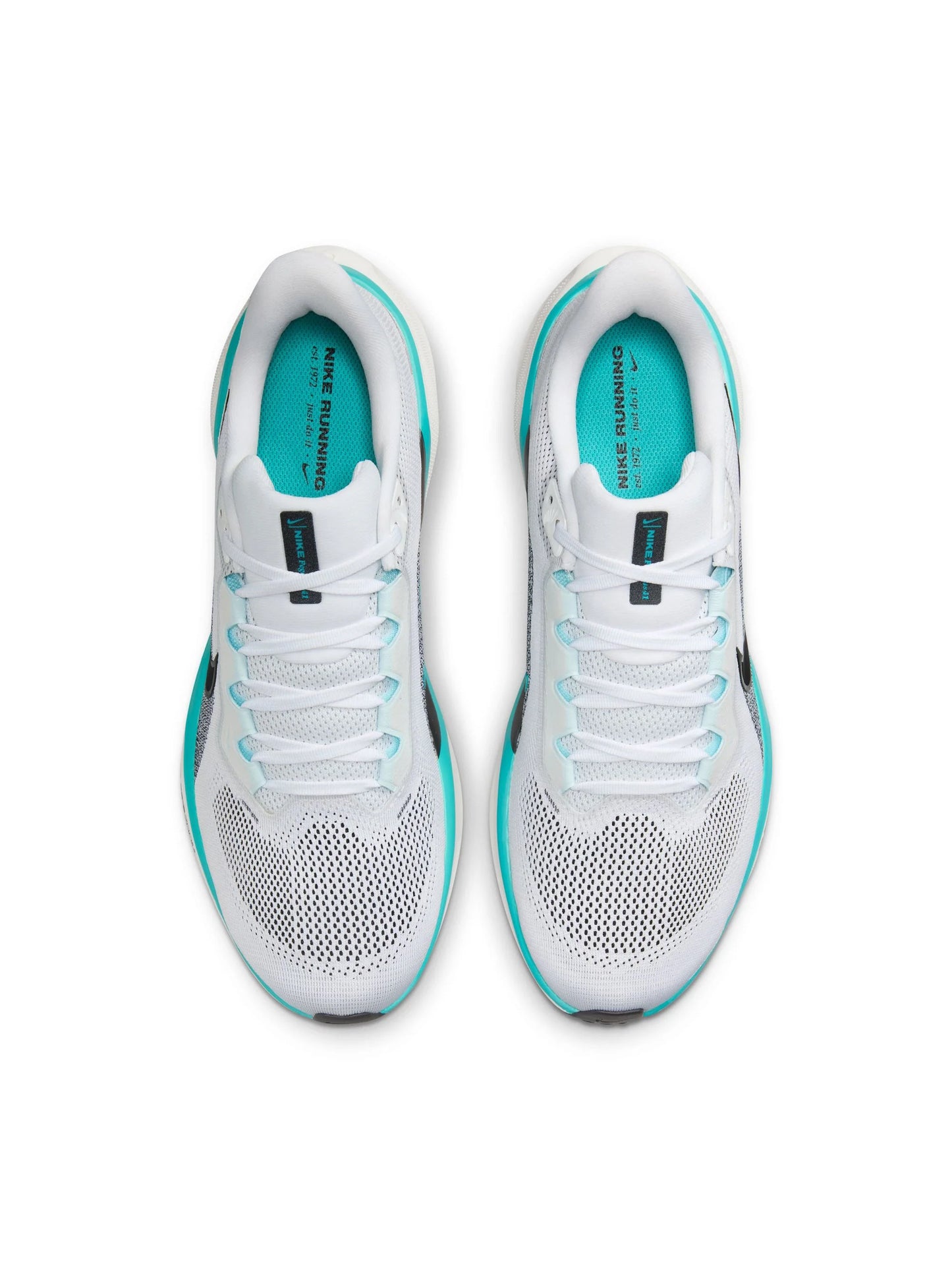 Nike Air Zoom Pegasus 41 Mens Shoes