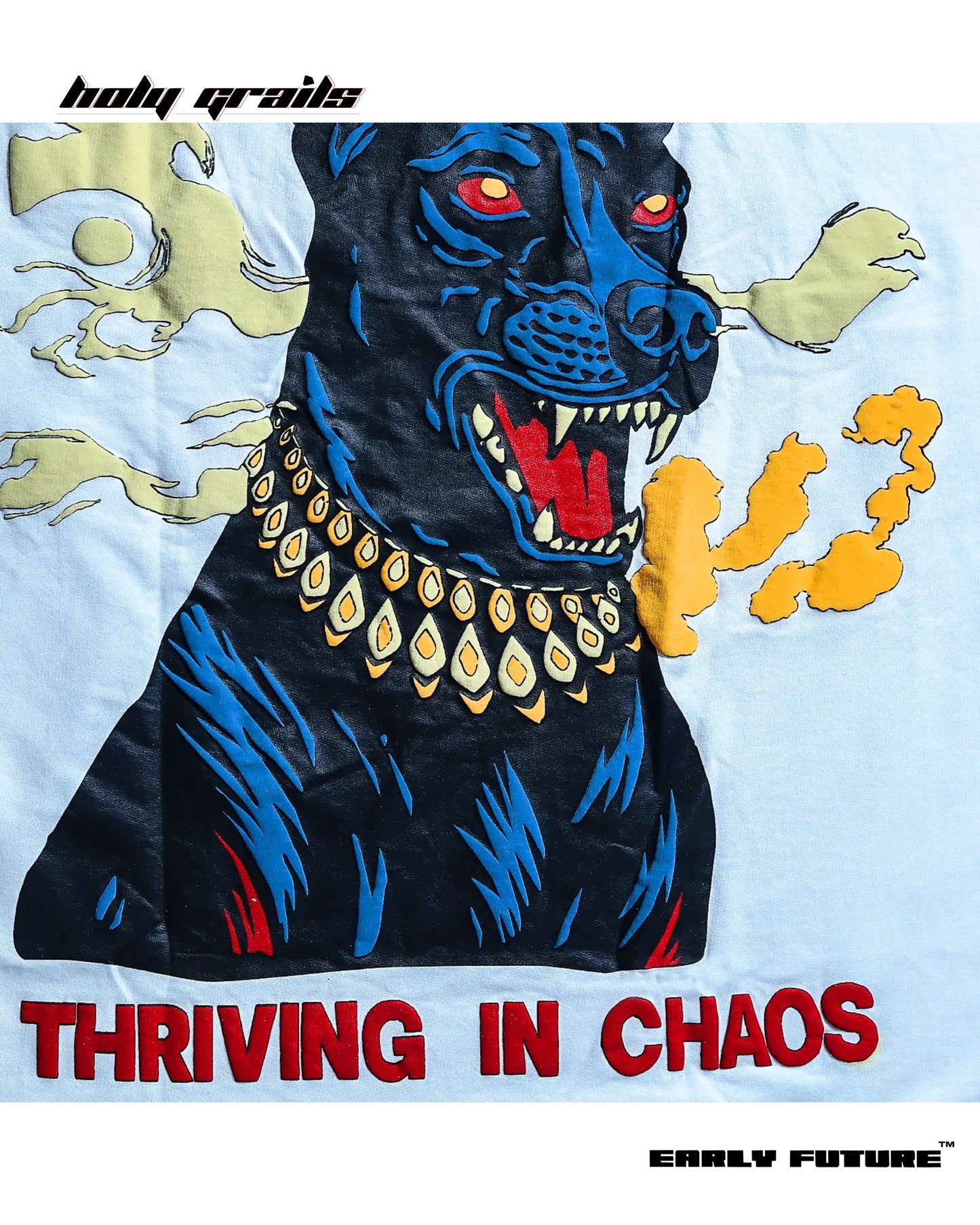 Thriving in Chaos Ghost White Oversize Tee HG x Early Future