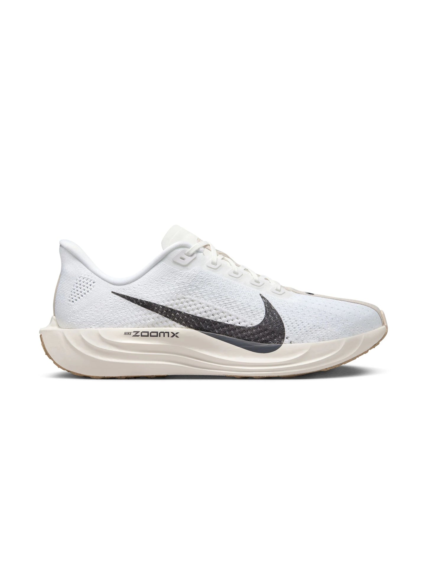 Nike Pegasus Plus Mens Shoes