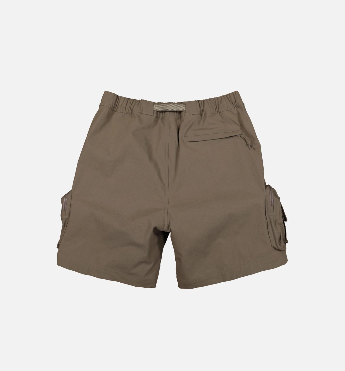 ACG Cargo Shorts Mens Shorts Brown