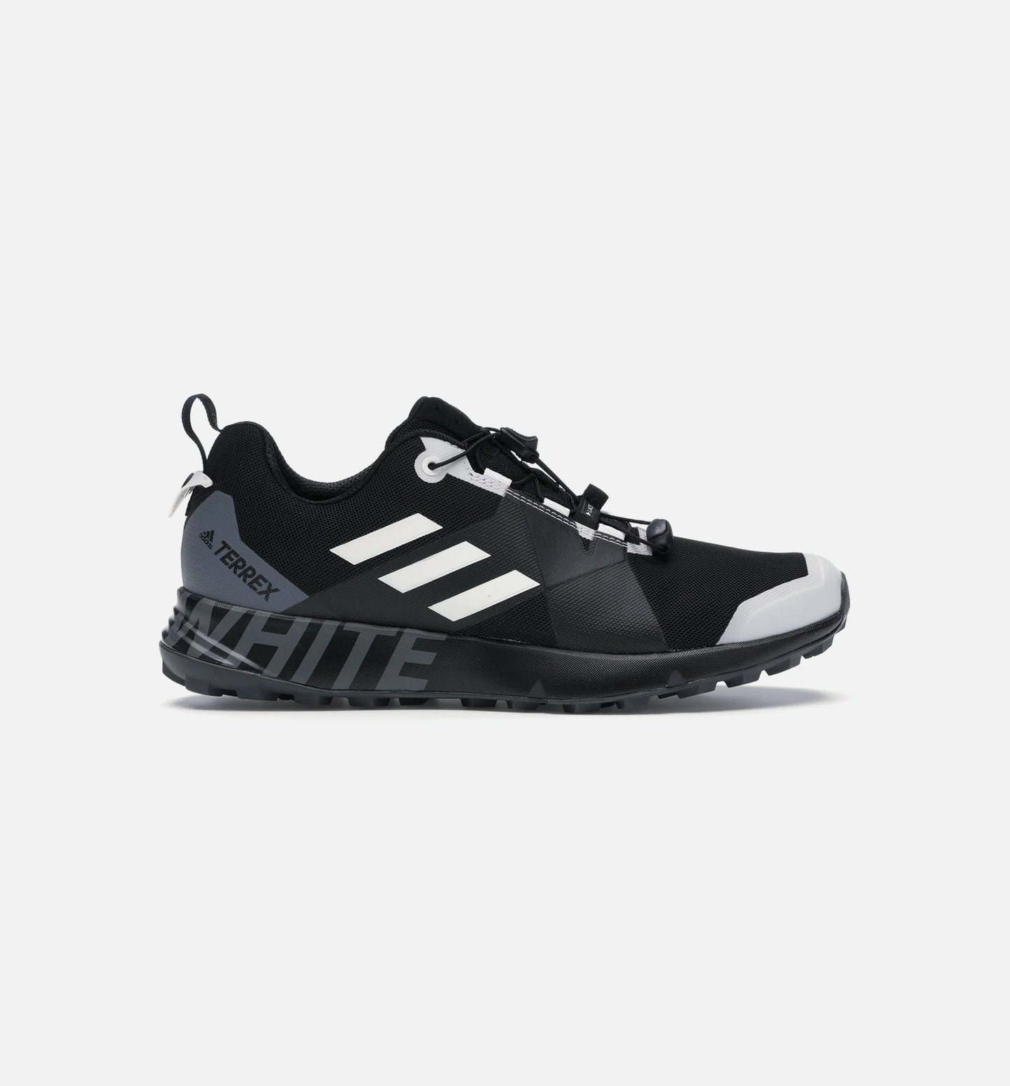 Terrex Two GTX Mens Shoe Black White