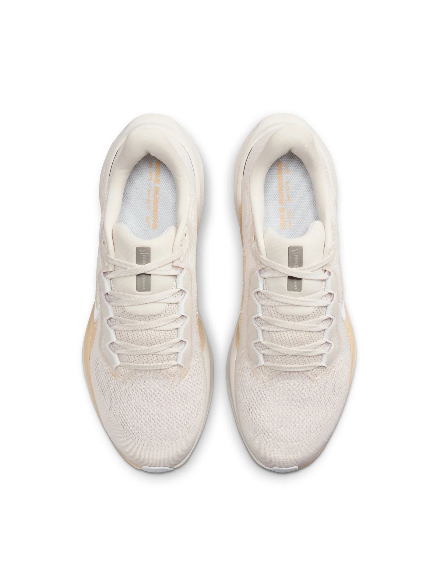 Nike Air Zoom Pegasus 41 Mens Shoes