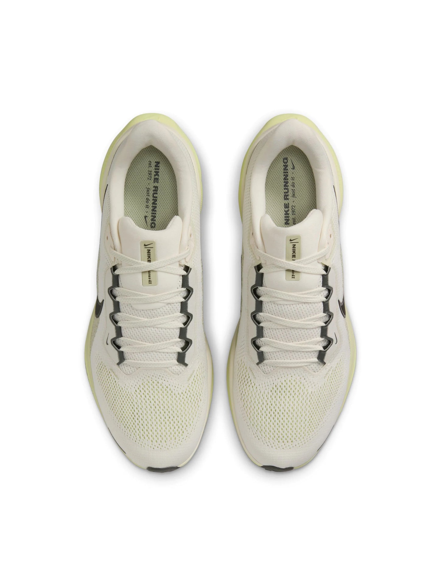 Nike Air Zoom Pegasus 41 Mens Shoes