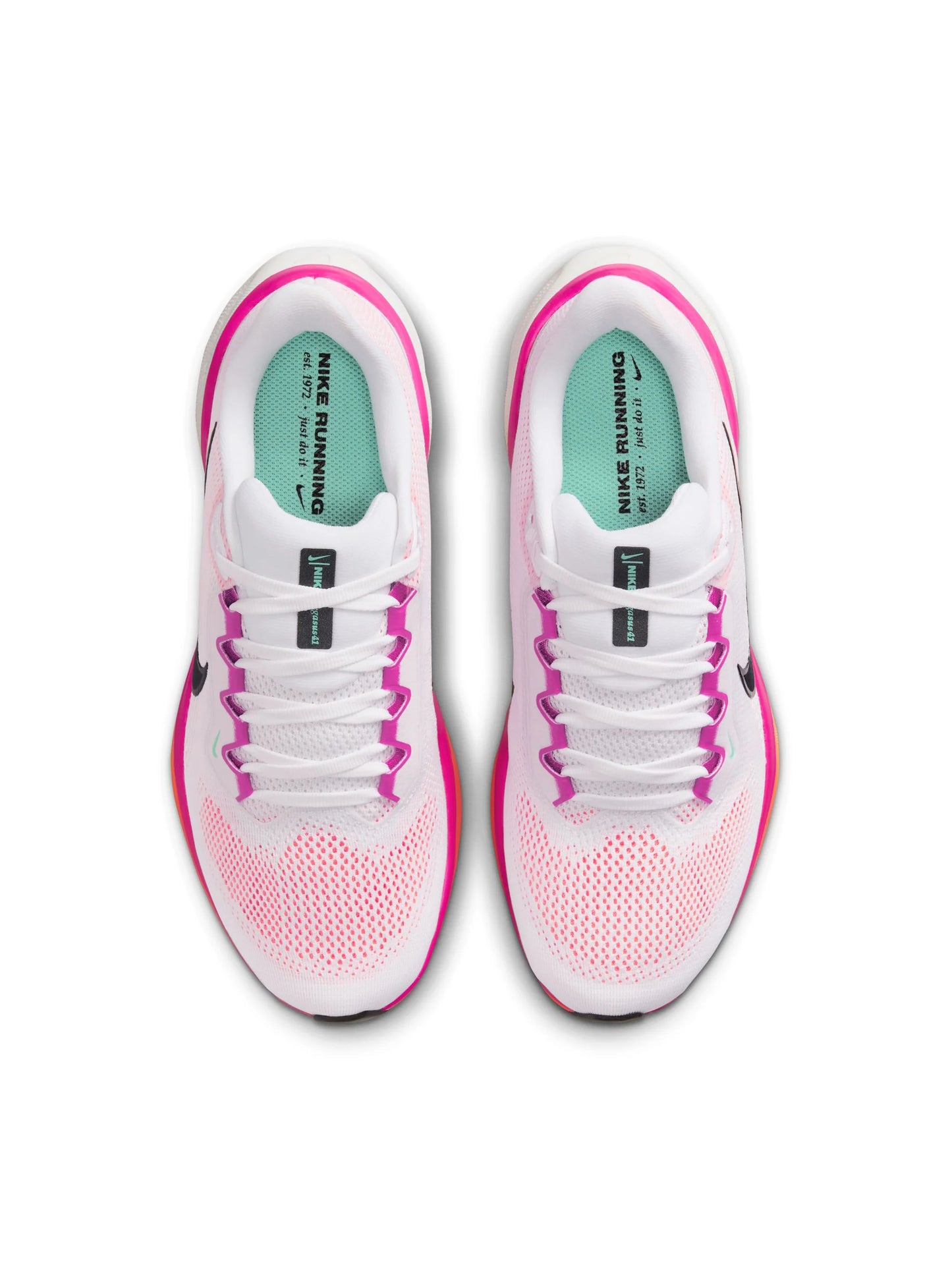 Nike Air Zoom Pegasus 41 Womens Shoes