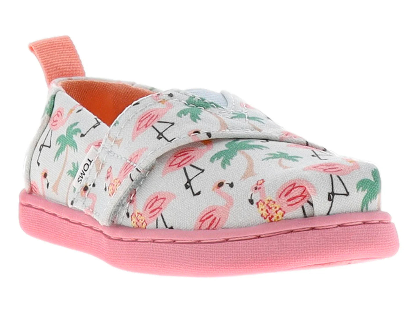 Tenis TOMS Azul Hawaiano con Flamencos para Niña