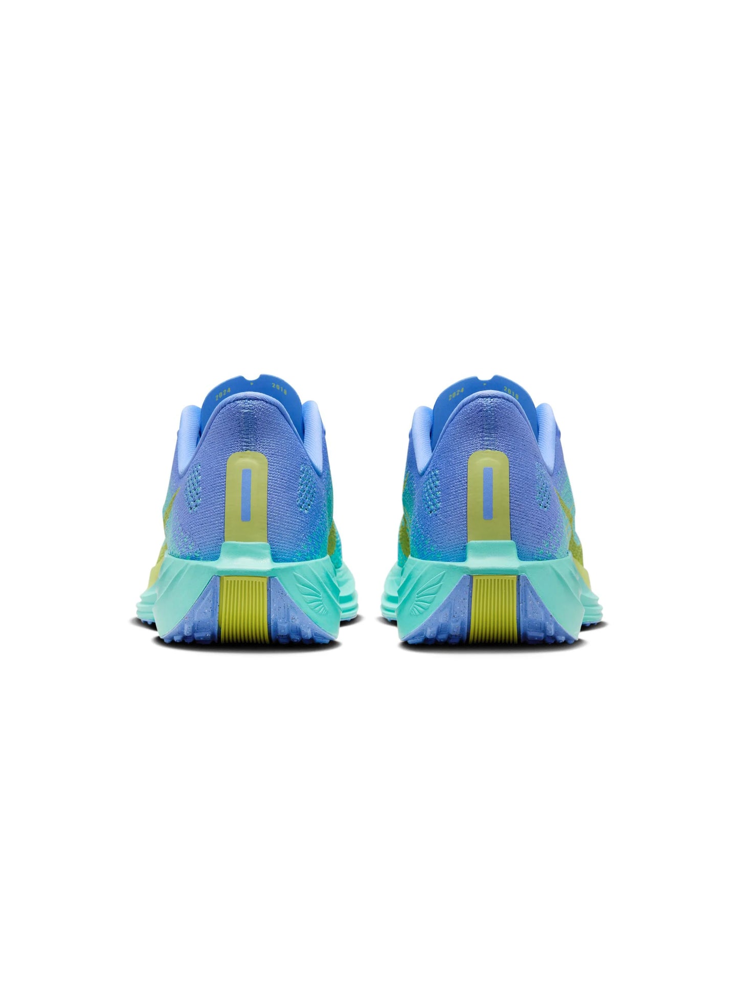 Nike Pegasus Plus Womens Shoes