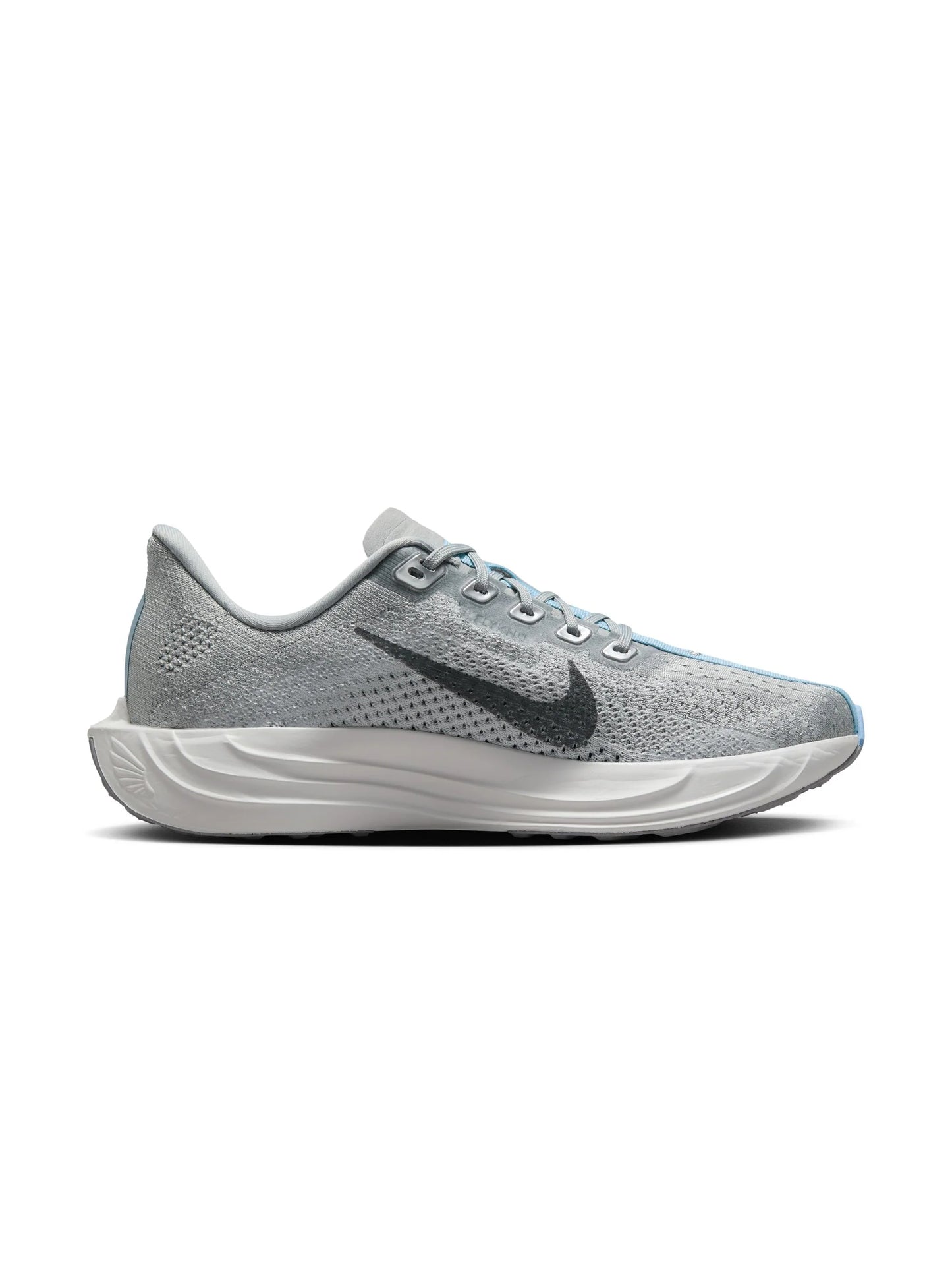 Nike Pegasus Plus Womens Shoes